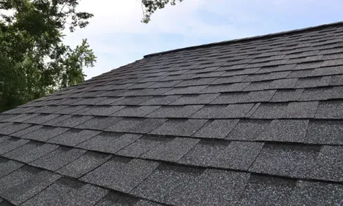 Photo of a tiled roof